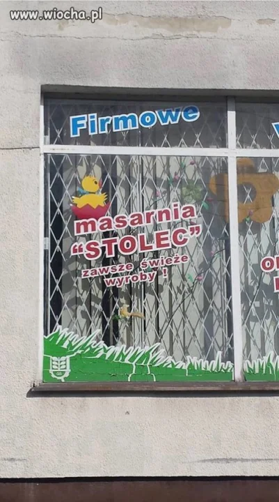 Świeże wyroby