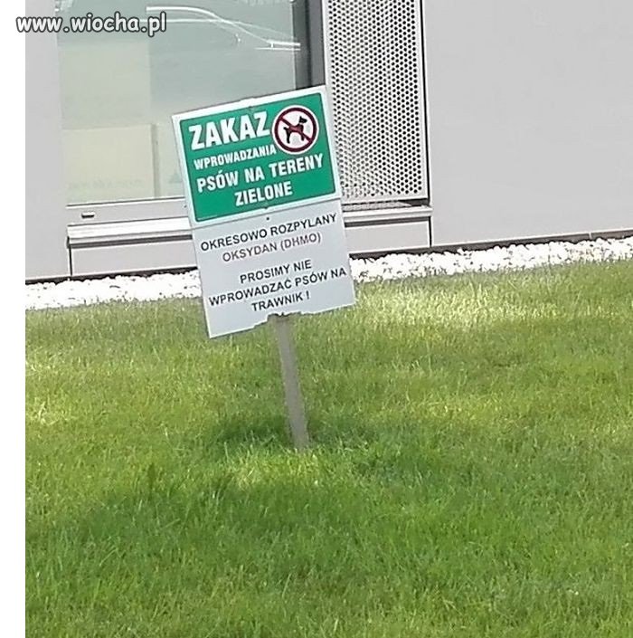  Chroń swojego psa przed... wodą