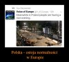 Ludzie nie boją się wyjść z domu
