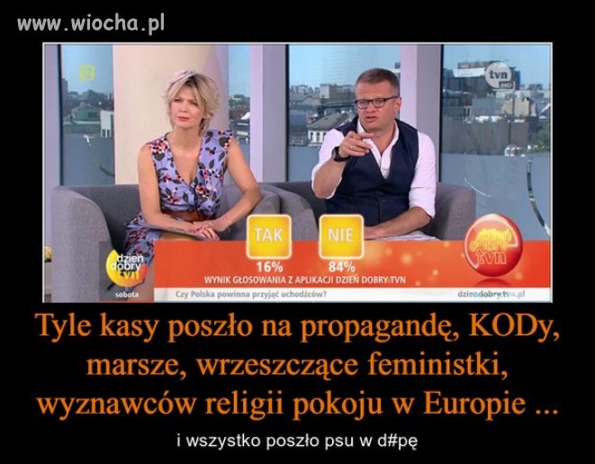 Wszystko na marne. Jak przykro.