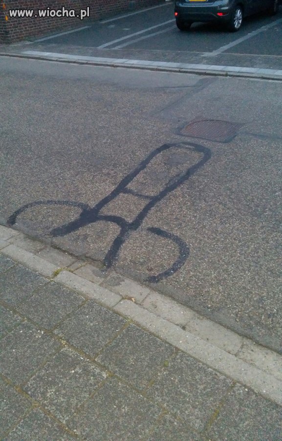 Fantazje drogowców