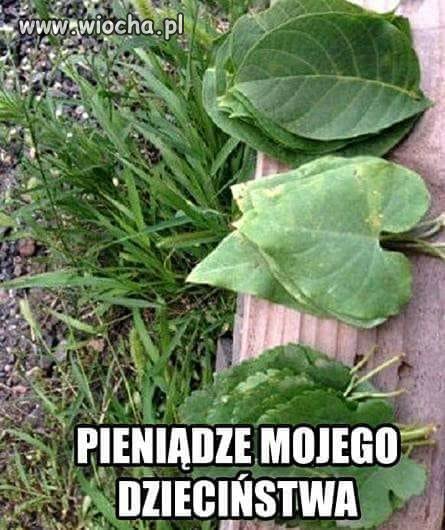 Kasa z mojego 