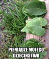 Kasa z mojego 