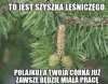 W lesie...