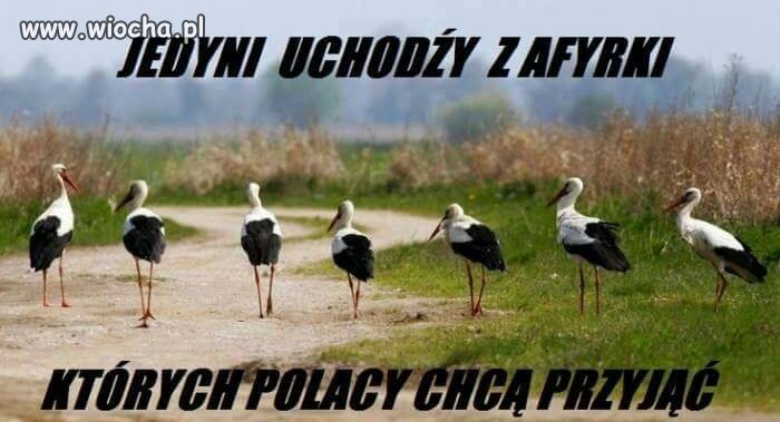 Tu wszyscy są zgodni.