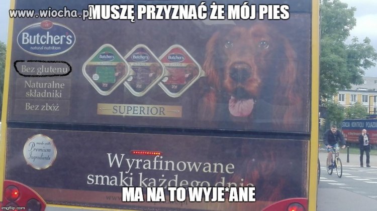 Chyba się boją, że właściciele