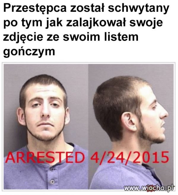 Mózg