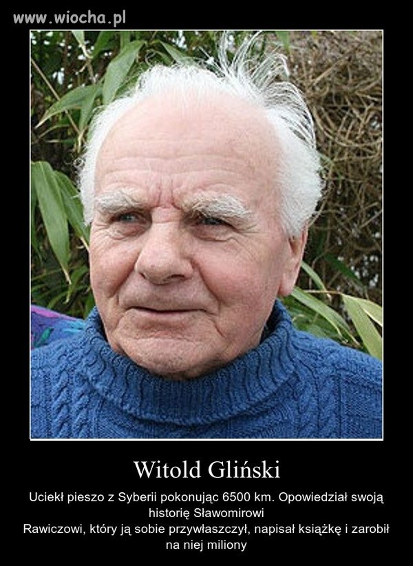 Szczyt chamstwa
