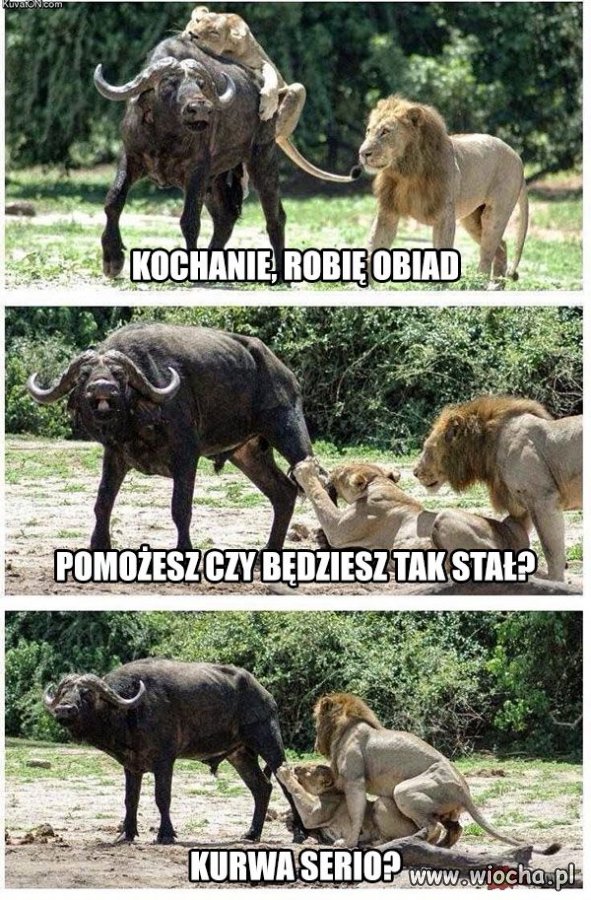 Heheszki