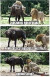 Heheszki