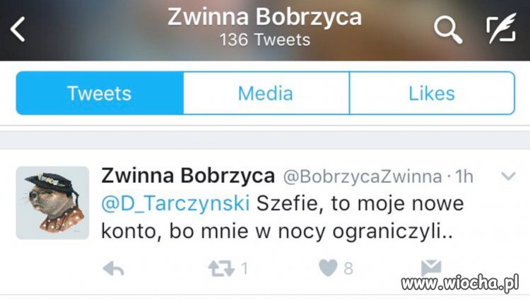 Wpadka prawicowego trola