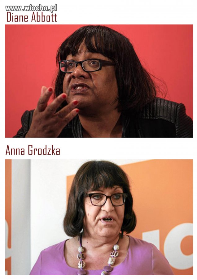 Brytyjska podróbka Anki 