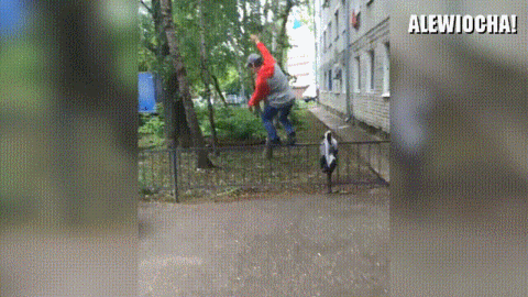 Prawie się udało...