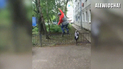 Prawie się udało...