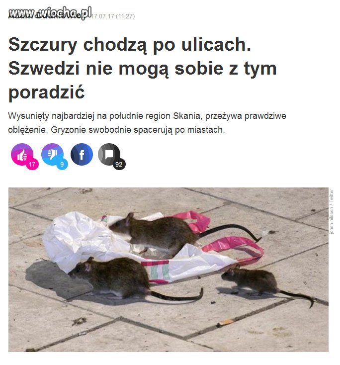Poprawność polityczna na o2