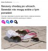 Poprawność polityczna na o2
