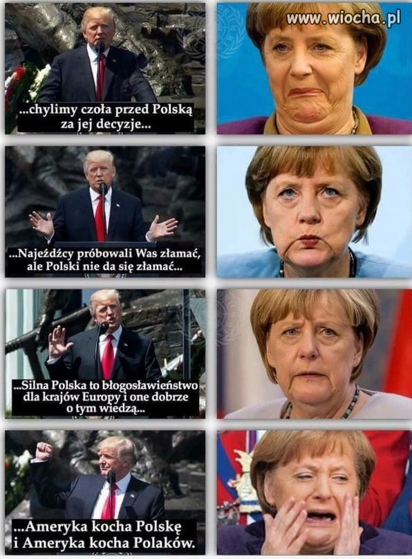 Trump vs
