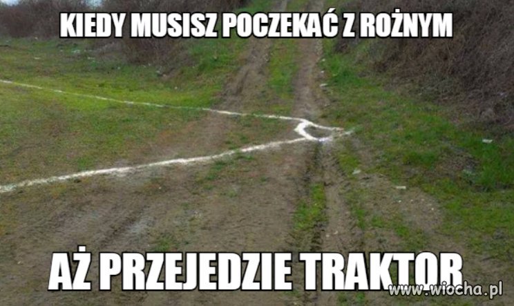 Po prostu 4 liga