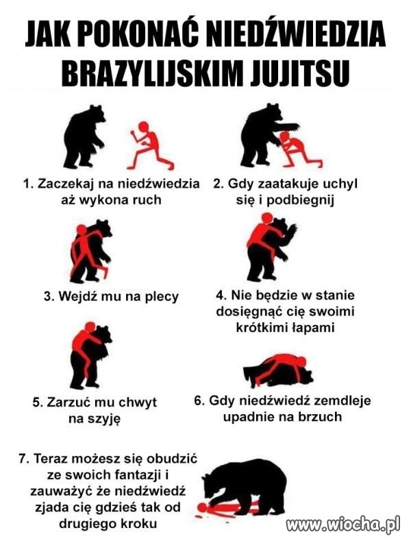Sposób na niedźwiedzia