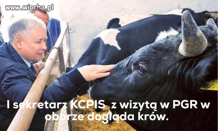 Już wiadomo po co PGR