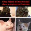 Coś w tym jest 