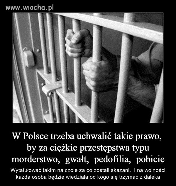 Jestem zdecydowanie za !!!