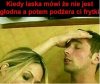 Frytka
