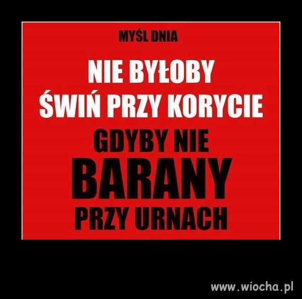Złoty myśli