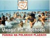 Panika nad Polskim morzem