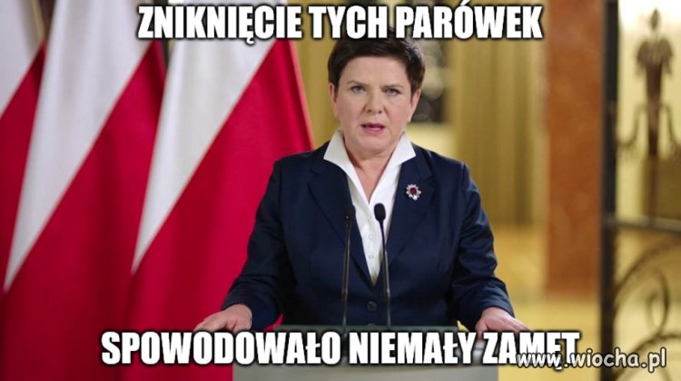 Bareja wiecznie żywy