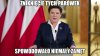 Bareja wiecznie żywy