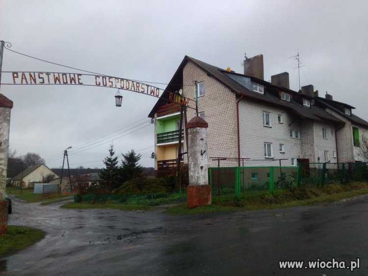 Rząd chce reaktywacji PGRów