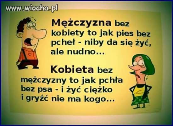 W samo sedno