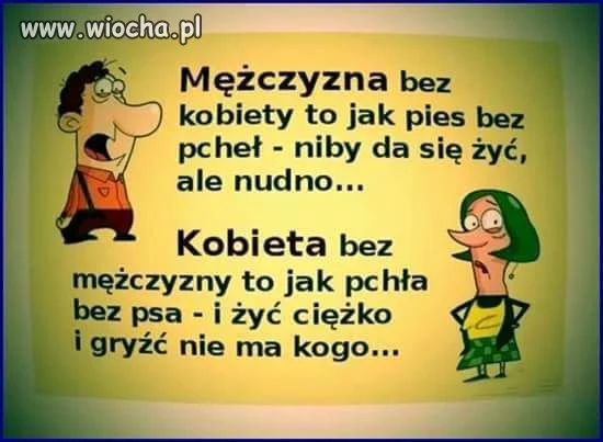 W samo sedno