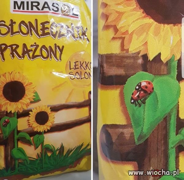 Biedronki dają rade