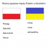 Różnica językowa