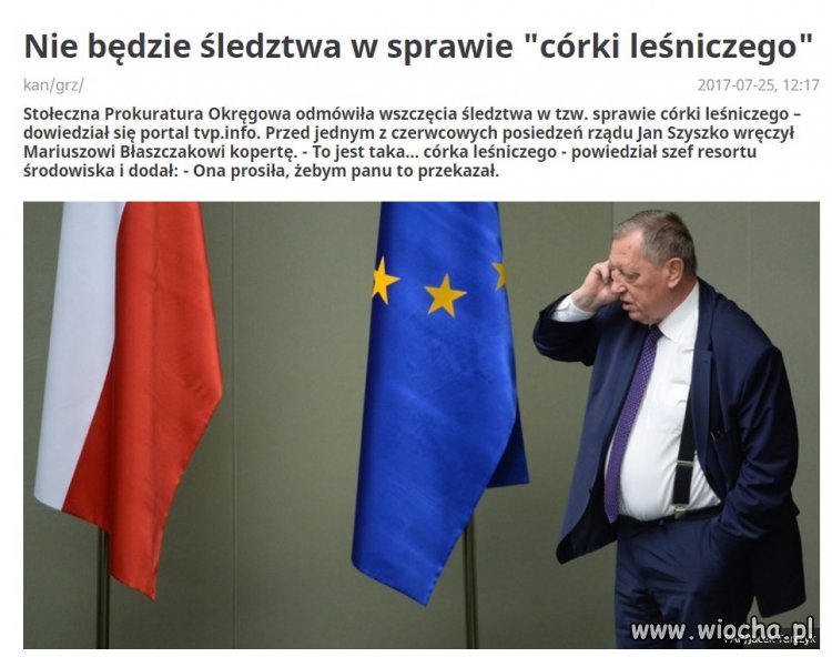 Państwo prawa