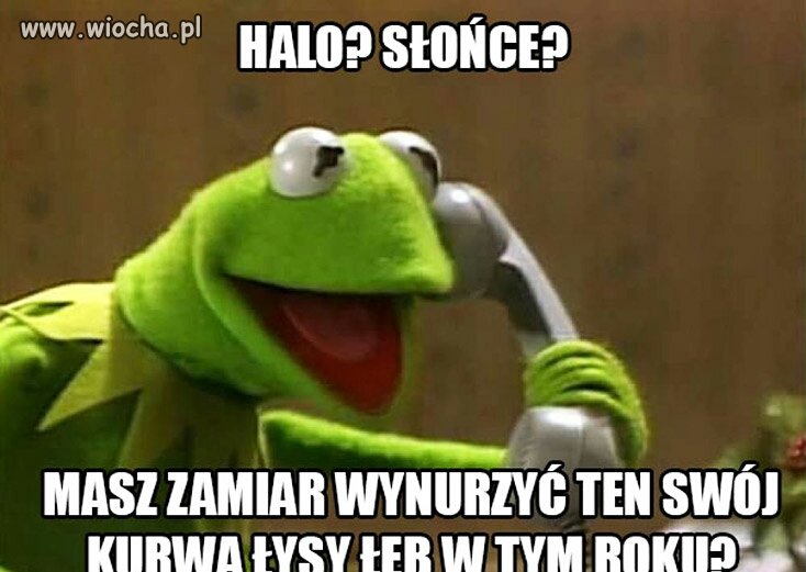 Tymczasem nad morzem
