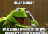 Tymczasem nad morzem