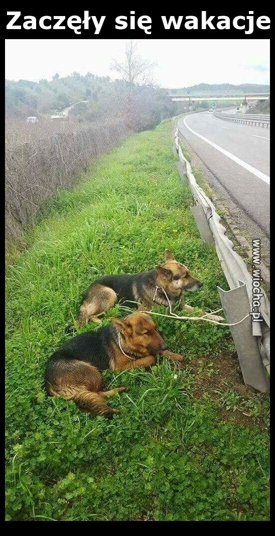 Zaczęły się wakacje