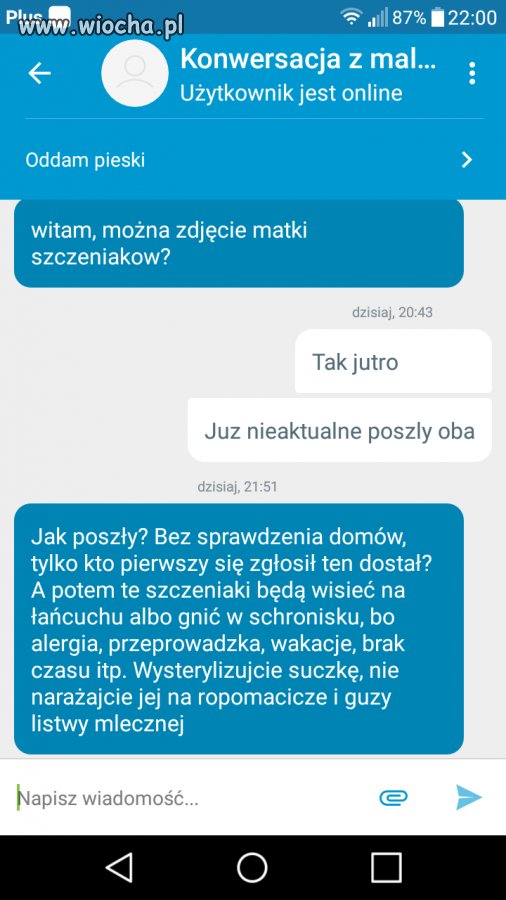 Pies ogrodnika