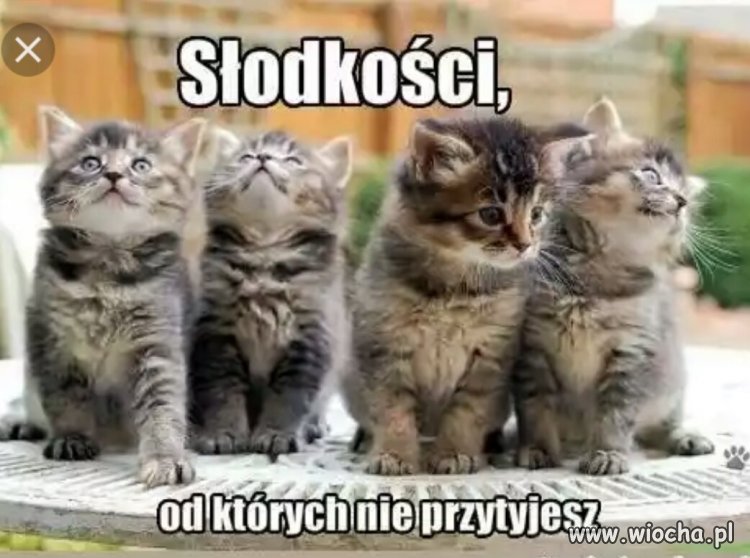 Co prawda to prawda