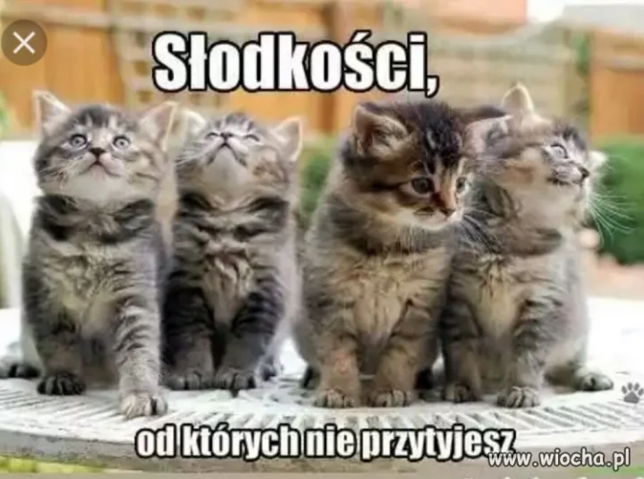 Co prawda to prawda