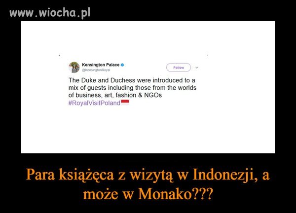 Gdzie oni polecieli???
