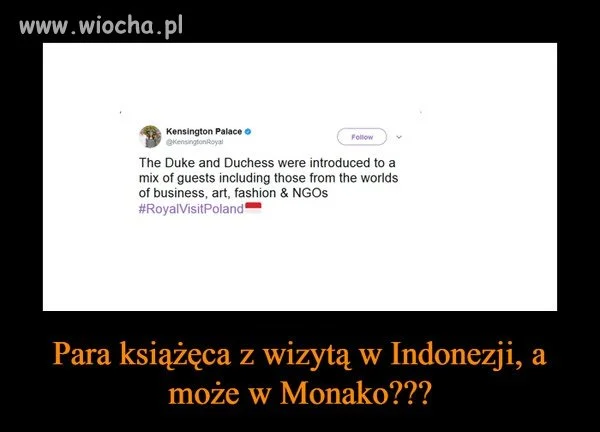 Gdzie oni polecieli???