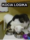 Kocia logika