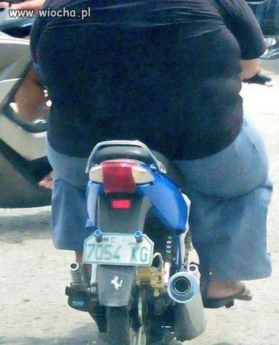 7054 kg