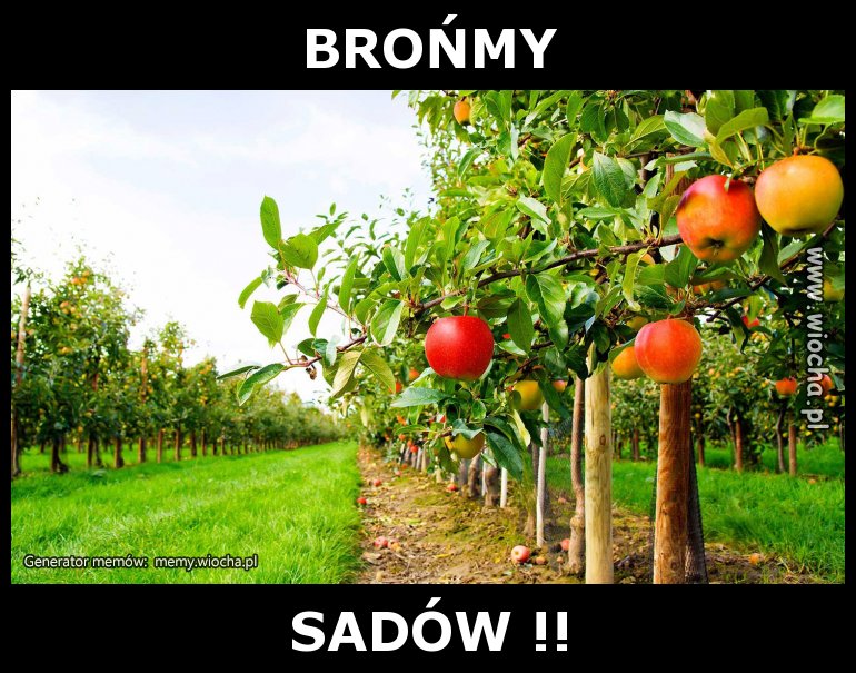 BROŃMY