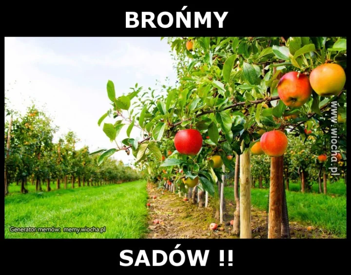 BROŃMY