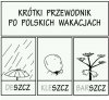 Wakacje po polsku